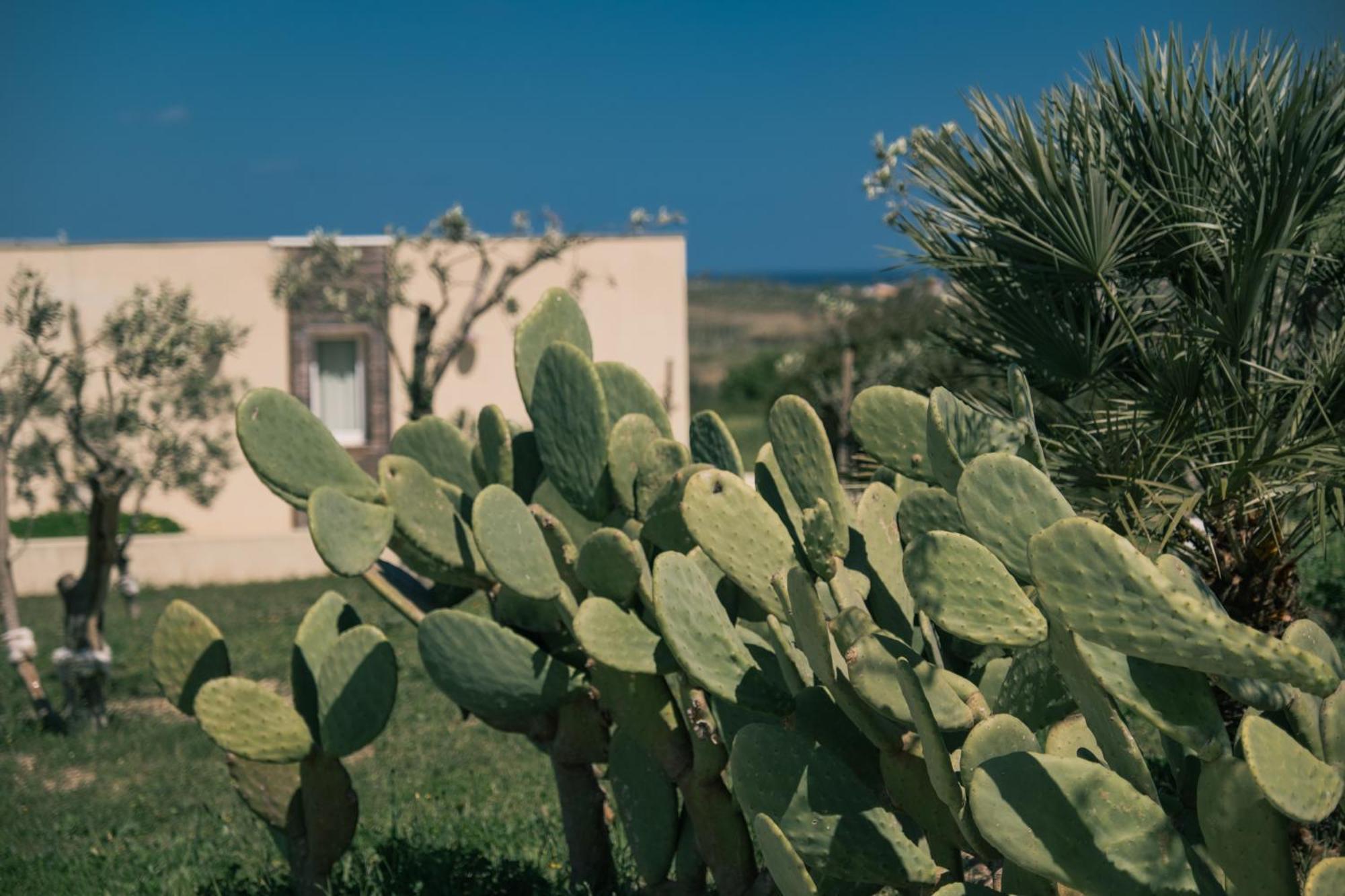 New Exclusive Lodges, Marzamemi, Noto Pachino Extérieur photo